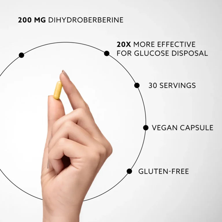 퓨로바이탈리스® 리포조말 베르베린 밸런스