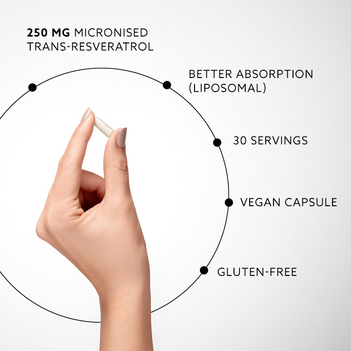 퓨로바이탈리스® 리포조말 레스베라트롤 (NMN 효능 UP)