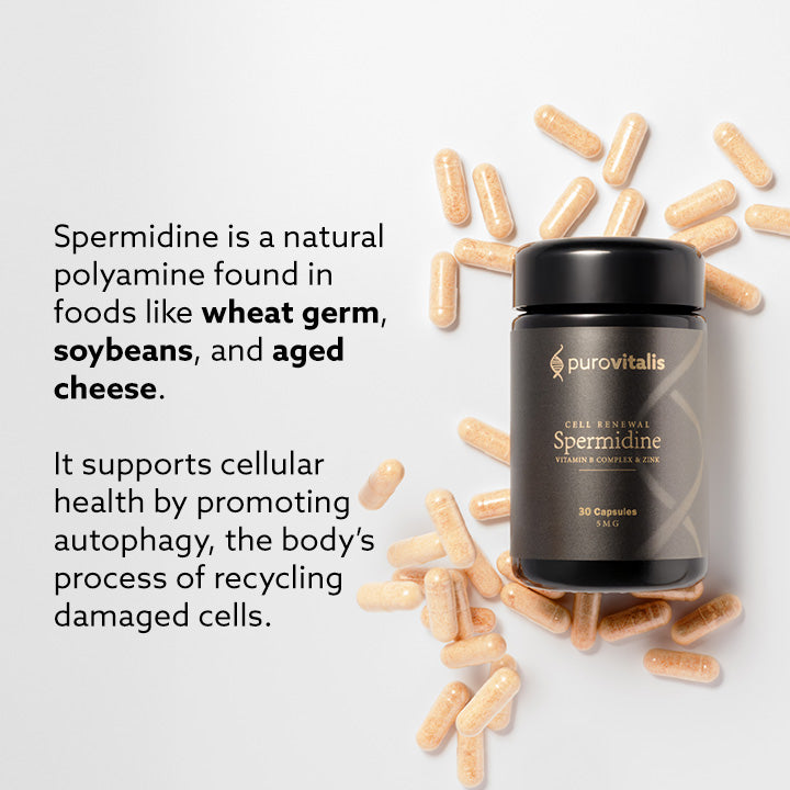 퓨로바이탈리스® 리포조말 스퍼미딘