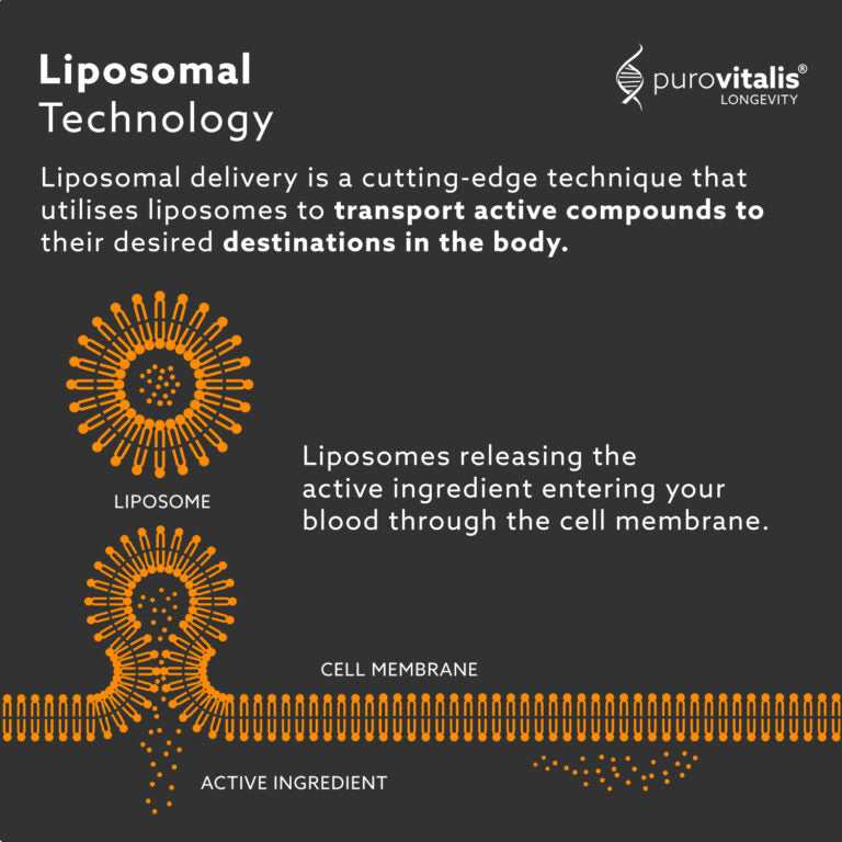 퓨로바이탈리스® 리포조말 비타민 D3